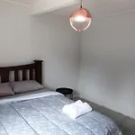The Brooklyn Nest
