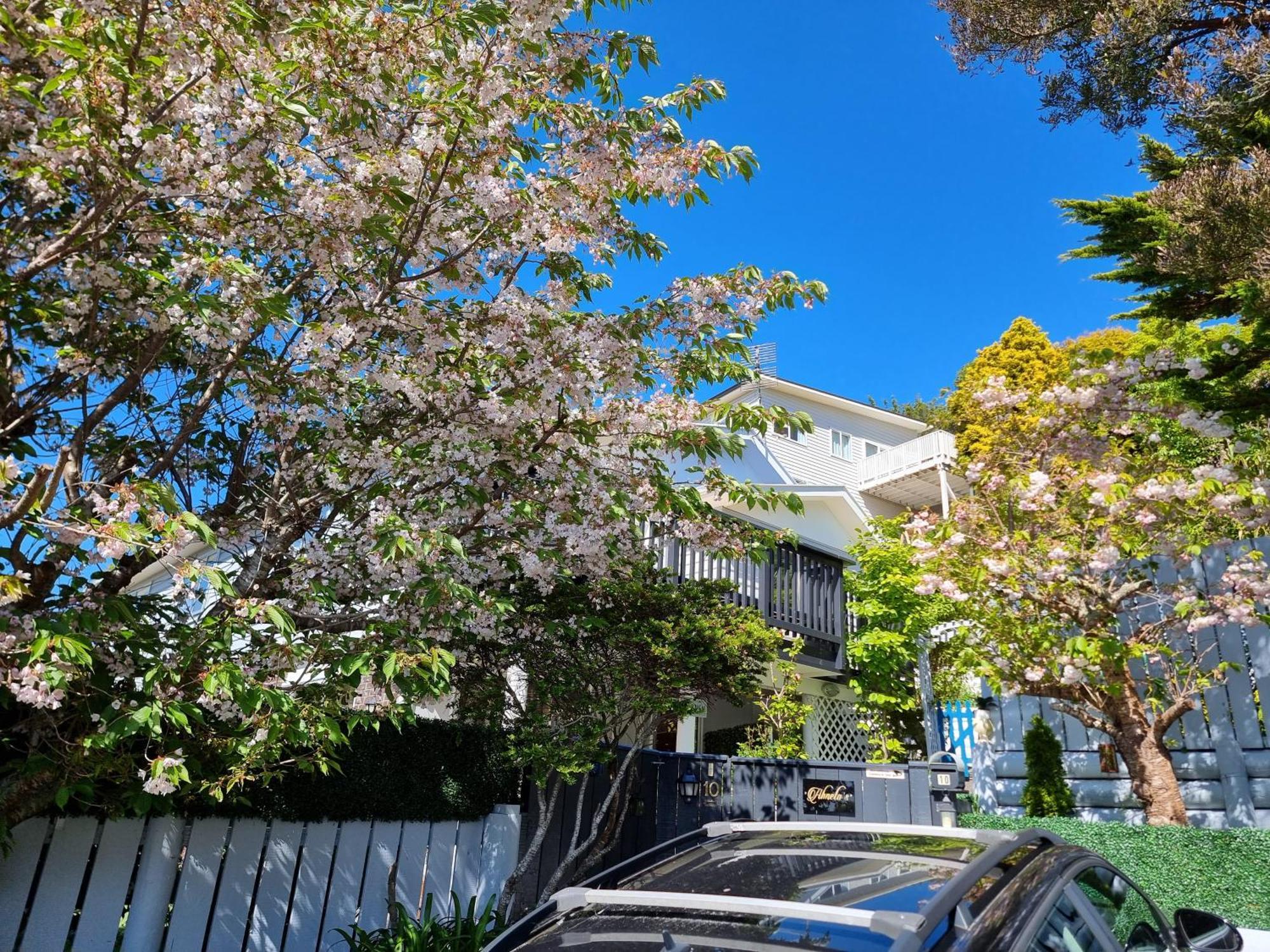 Apartment Entire Ground Floor With Full-privacy And Family-friendly Popular To Ferry Catchers Wellington