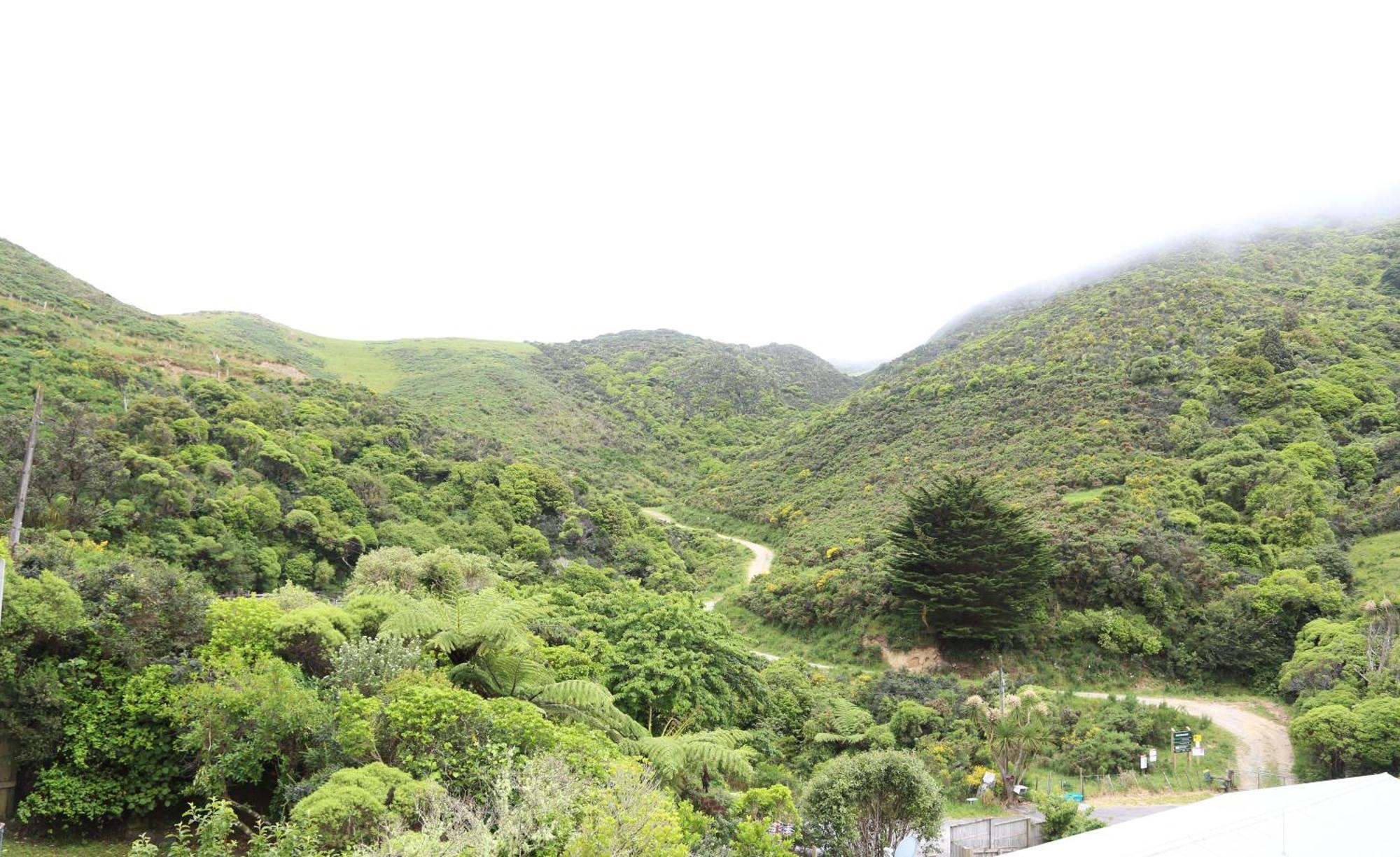 Skyline Haven - Entire - Free Parking, Espresso, Netflix - 15m To Cbd, Stadium, Ferry Apartment Wellington
