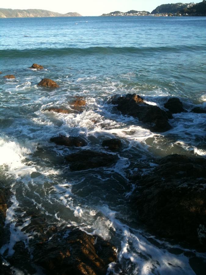 Karaka Bays Wellington