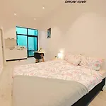 Cbd Brand New Modern Living