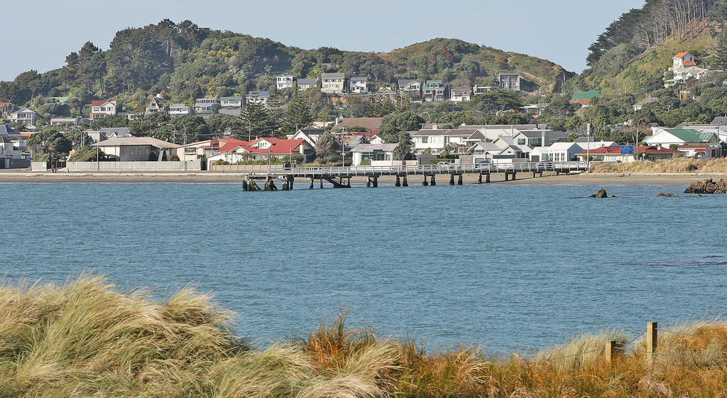 Beachfront Wellington