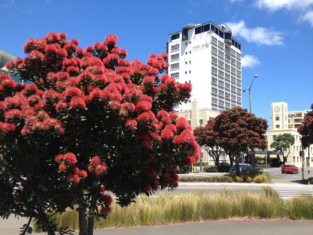 Hotel Bay Plaza Wellington