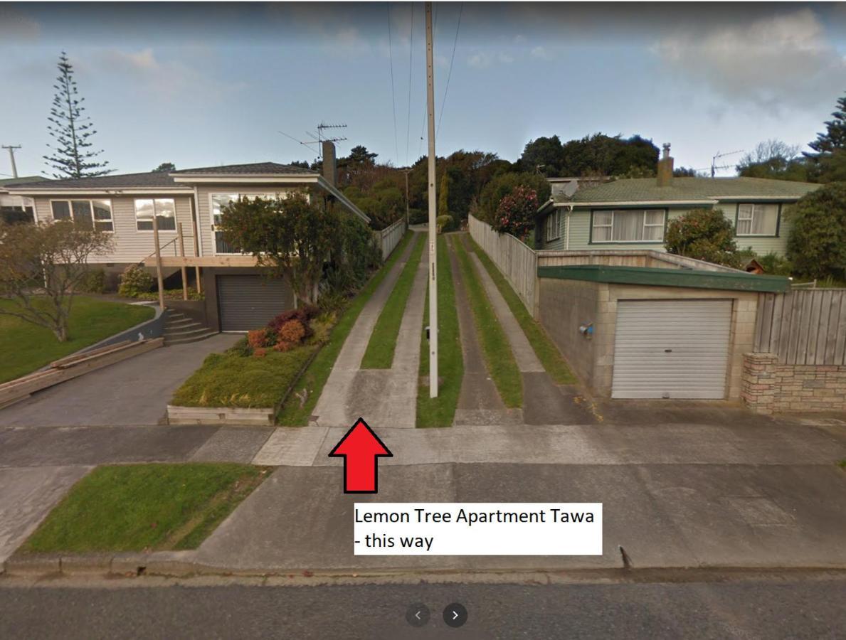 Lemon Tree Tawa Wellington