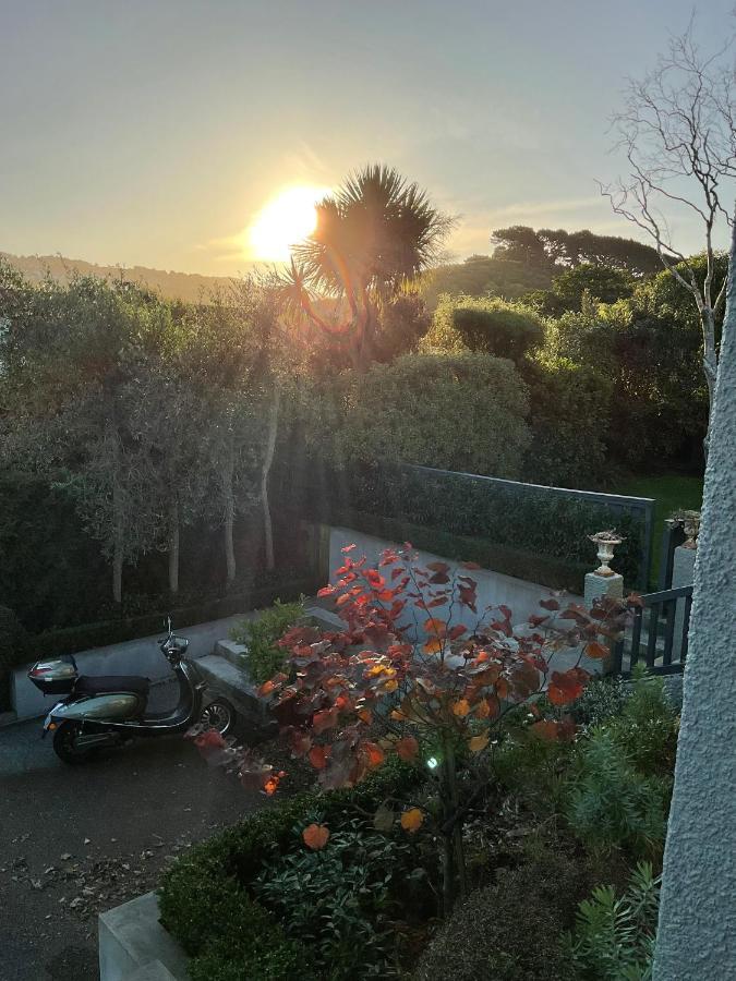 The Newtown Guest house *
