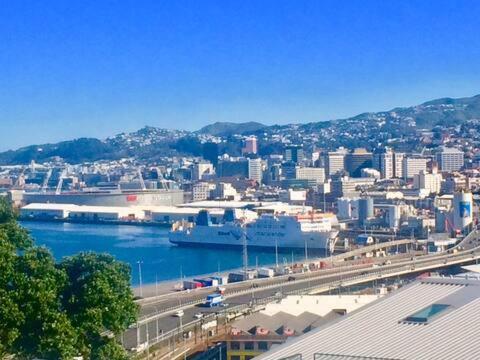The Perfect Stop Over Homestay Wellington