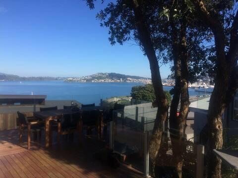 The Perfect Stop Over Wellington