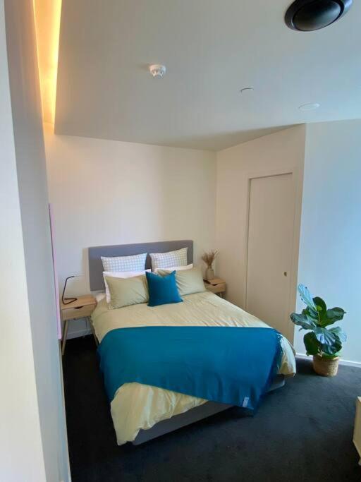Apartment Cosy Penthouse Wellington