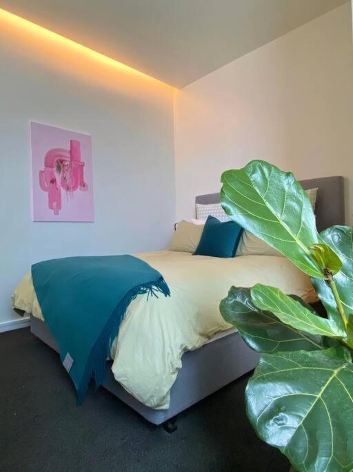 Cosy Penthouse Apartment Wellington