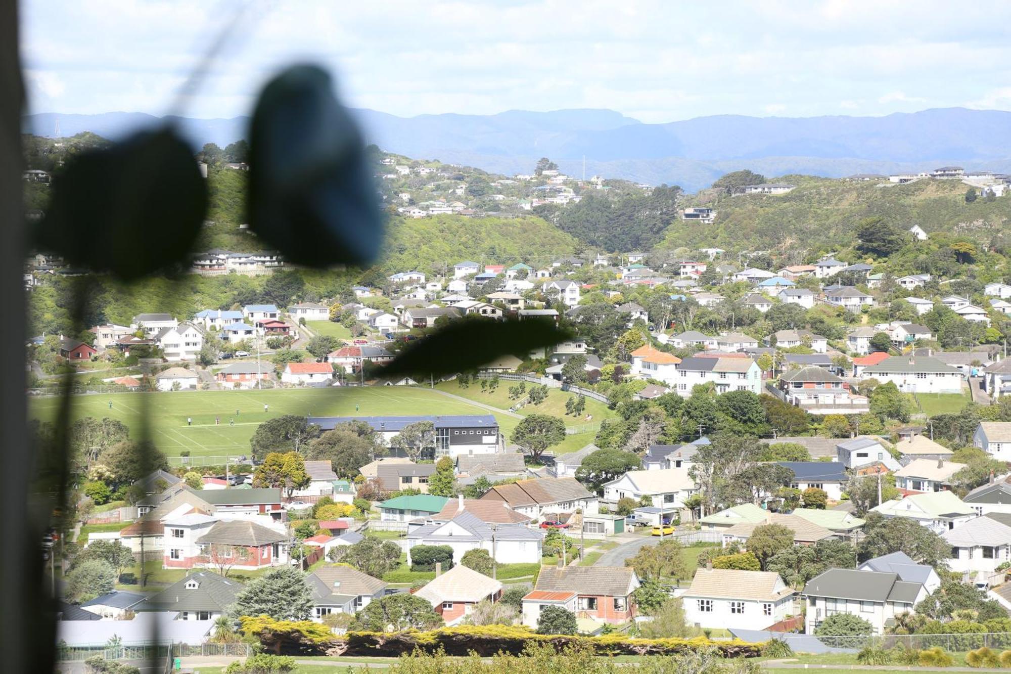 Skyline Vista - Entirely New House With Luxe Views, Espresso, Netflix & Free Parking *