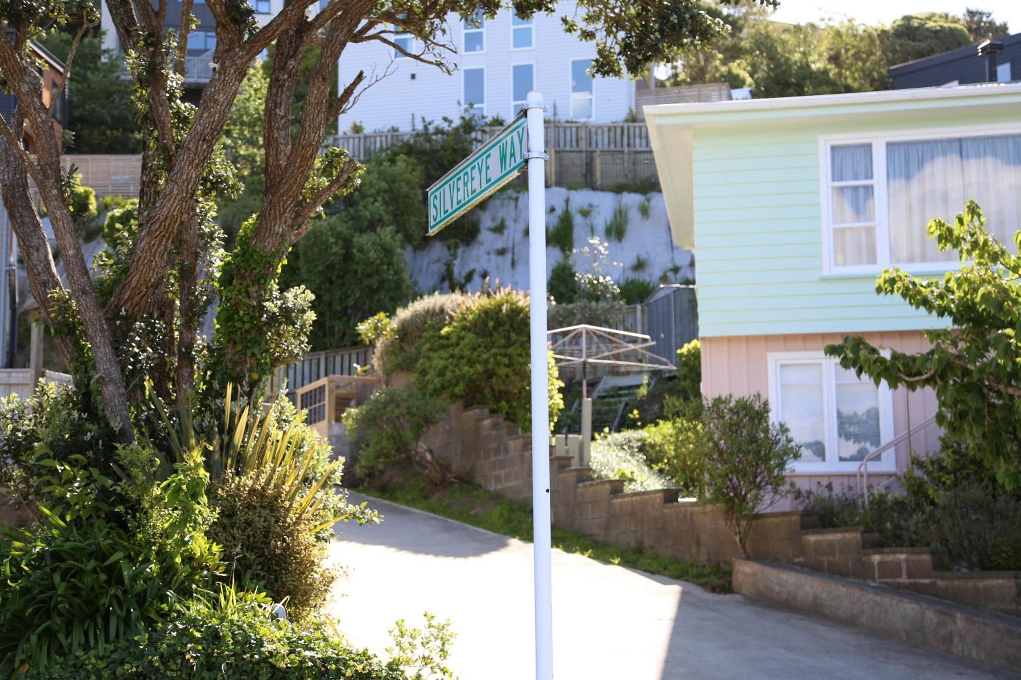 Skyline Vista - Entirely New House With Luxe Views, Espresso, Netflix & Free Parking *