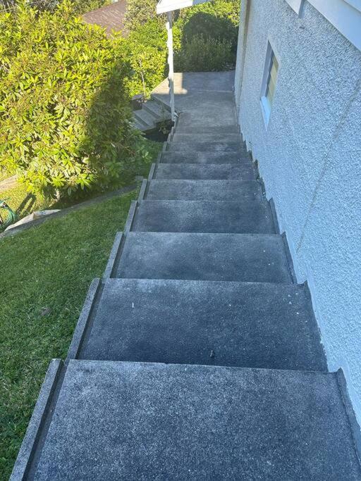 Holiday home Views For Day's In Lyall Bay *