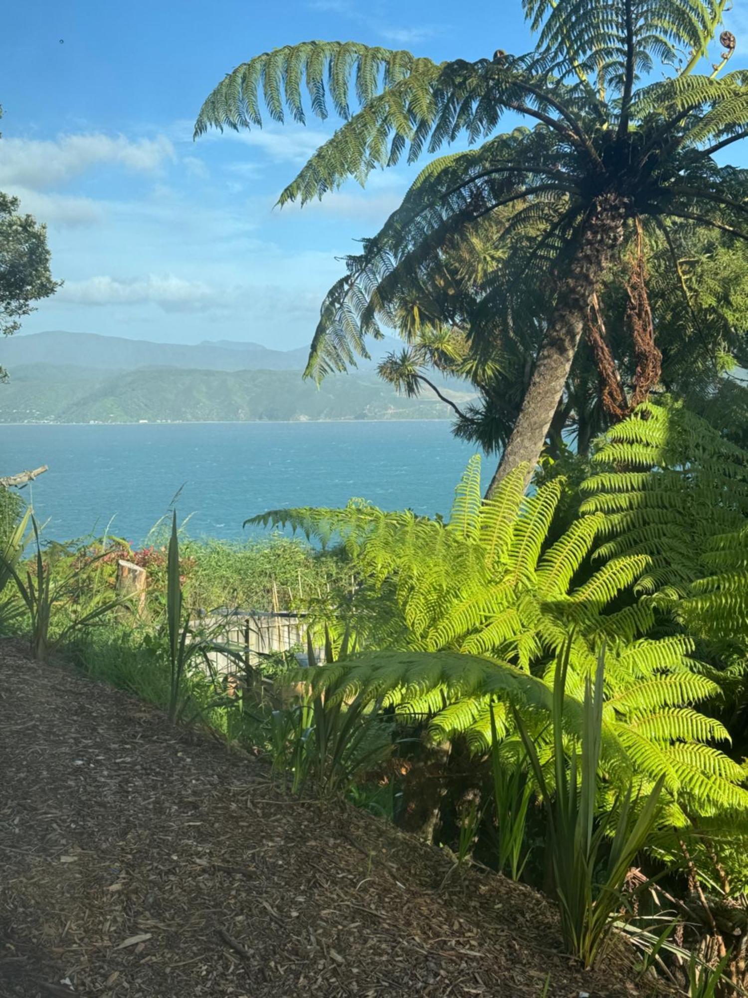 Karaka Bays * Wellington