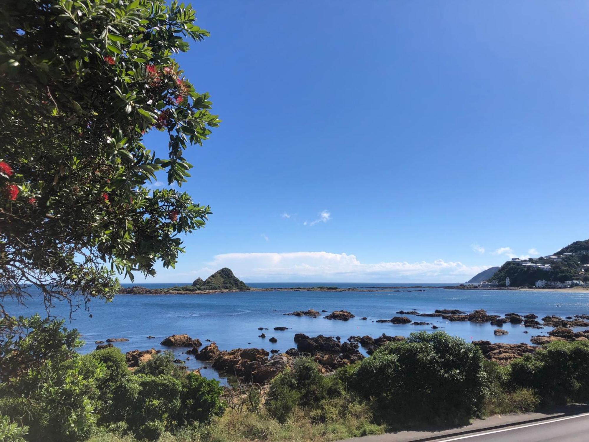 Seafront Haven In Island Bay With Deck, Outdoor Bath, And Parking * Wellington