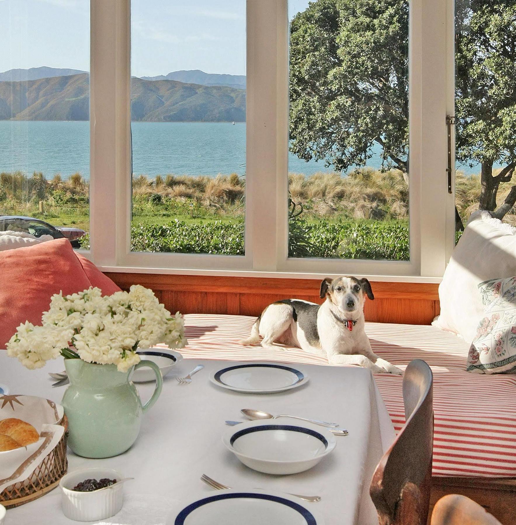 Bed & Breakfast Beachfront Wellington