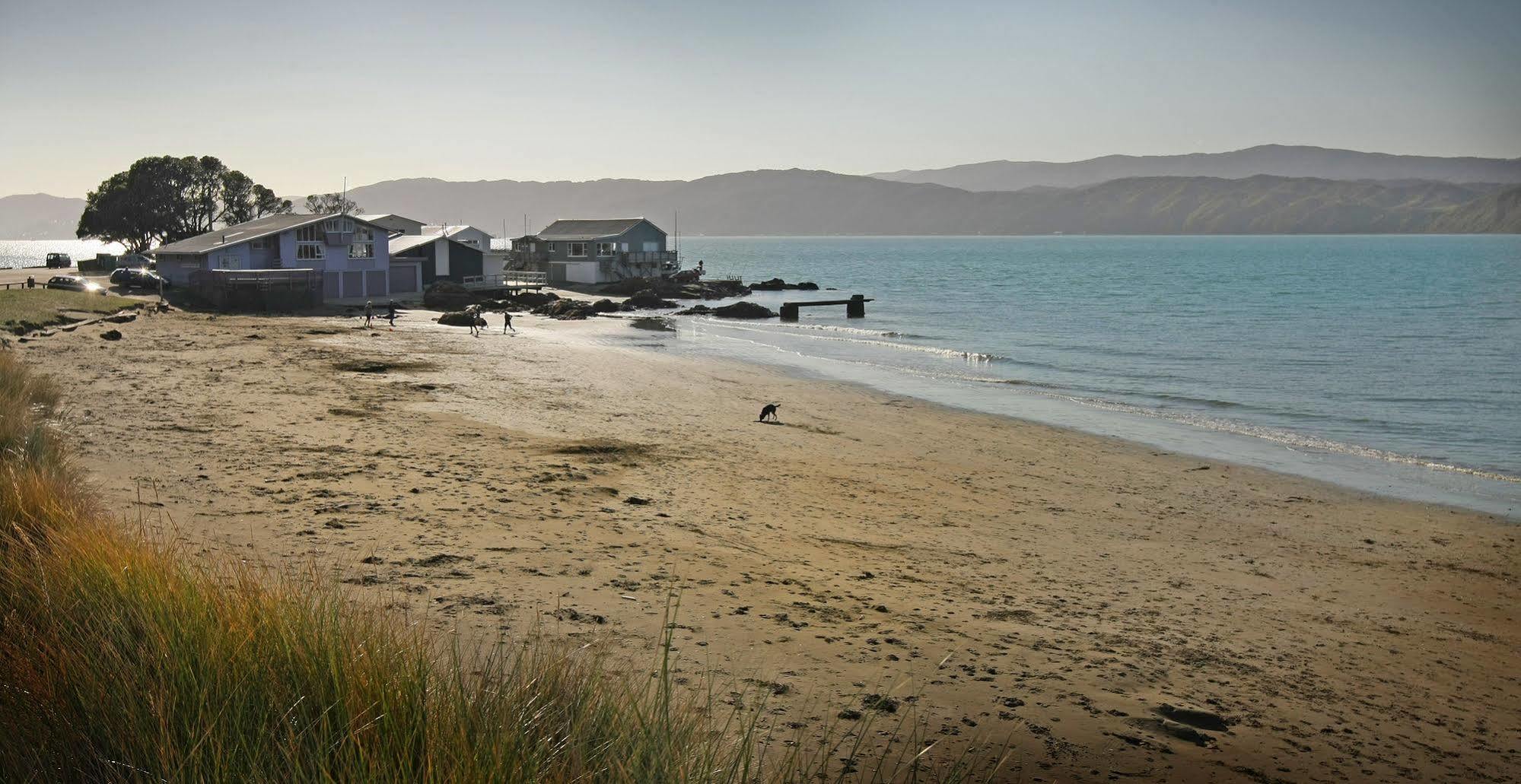 Beachfront Bed & Breakfast
