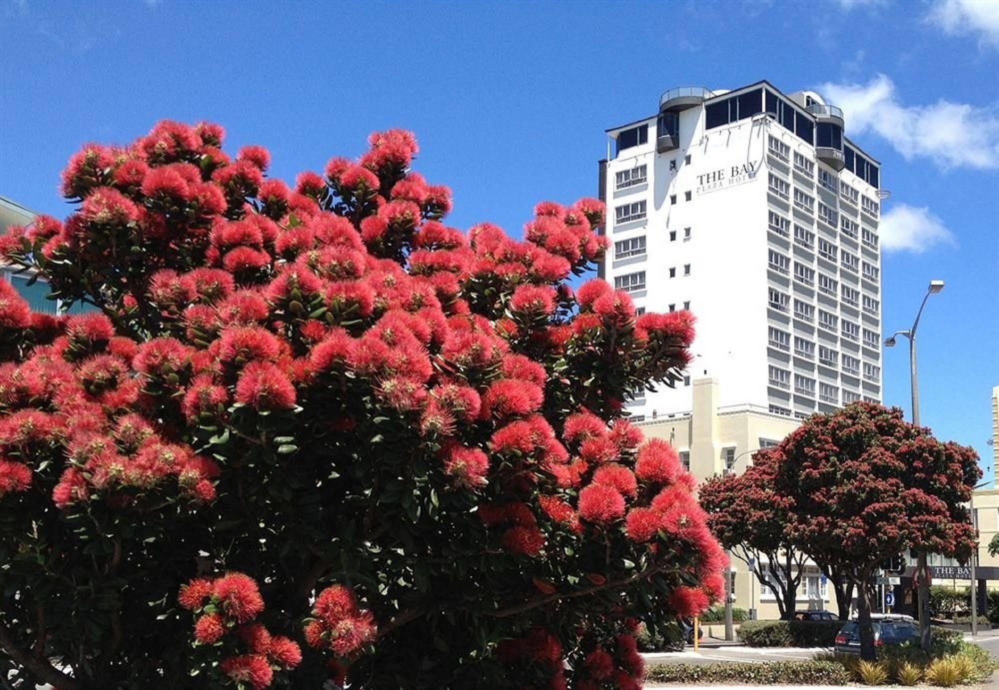 Hotel Bay Plaza 3*