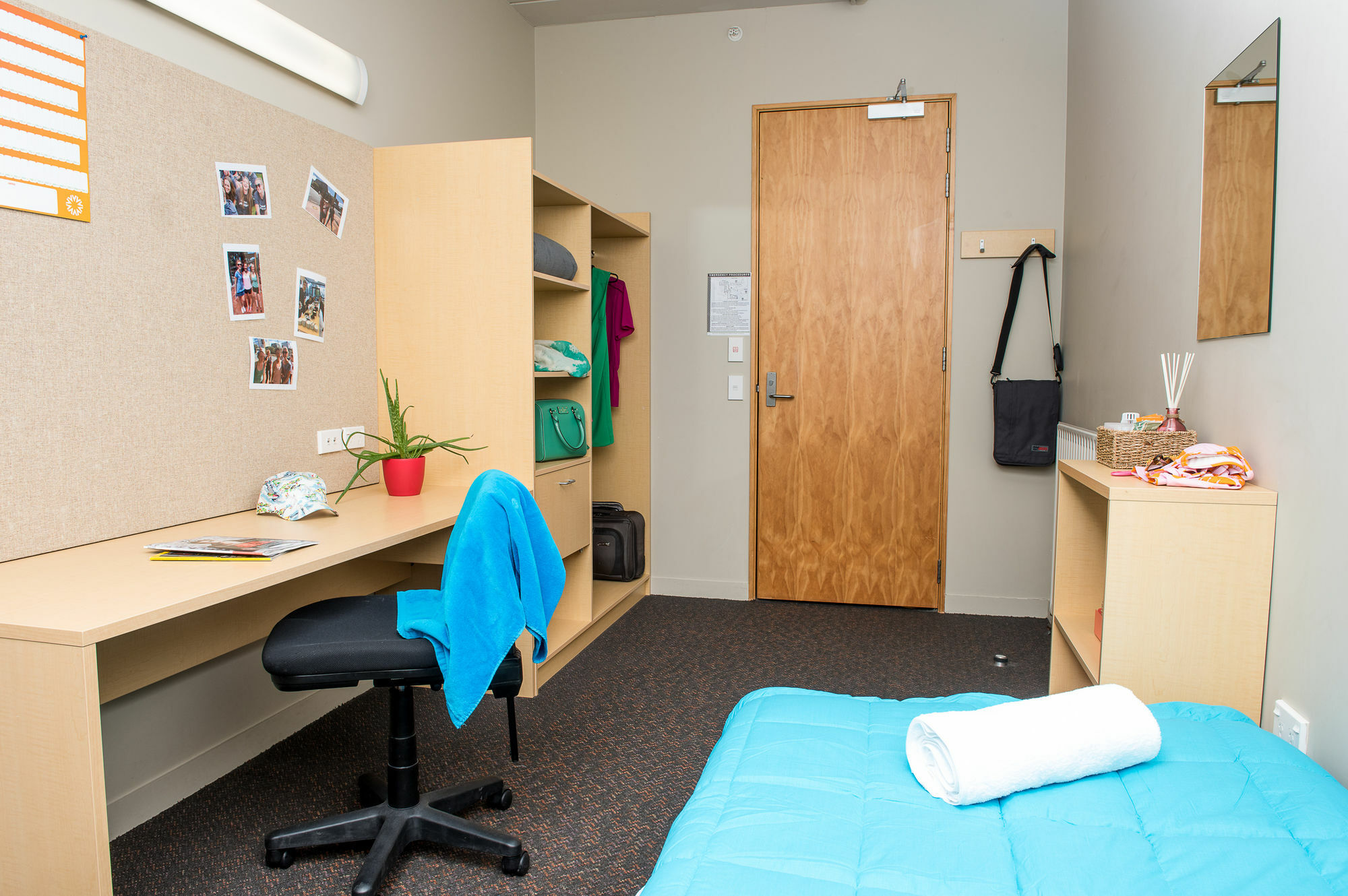 Te Puni Village Hostel Wellington