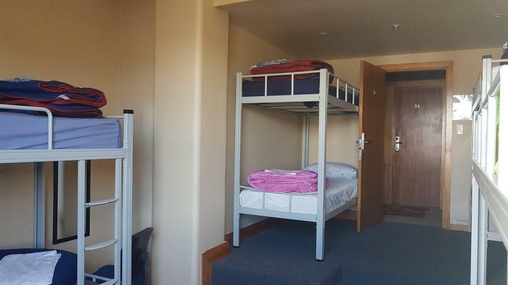 Wild Zebra Backpackers Wellington