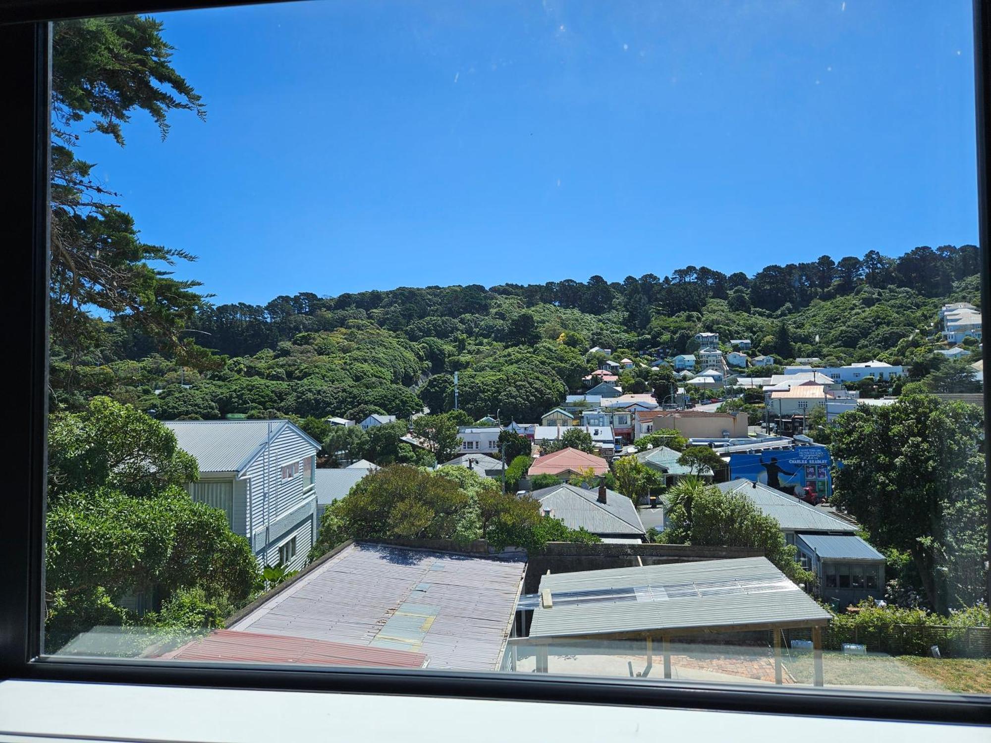 New And Fabulous, Fringe Bliss! * Wellington