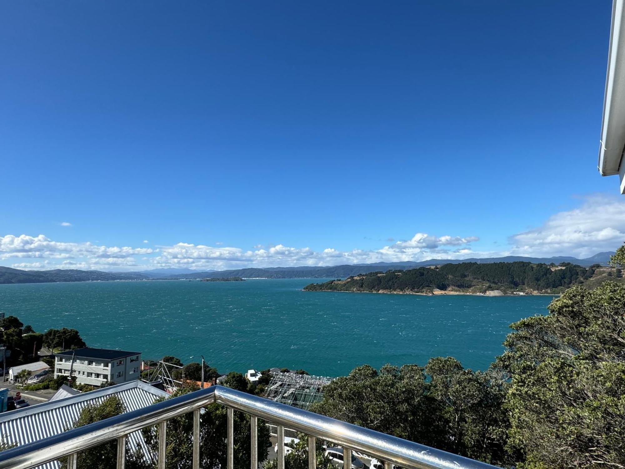 Super Large Seaview House Wellington