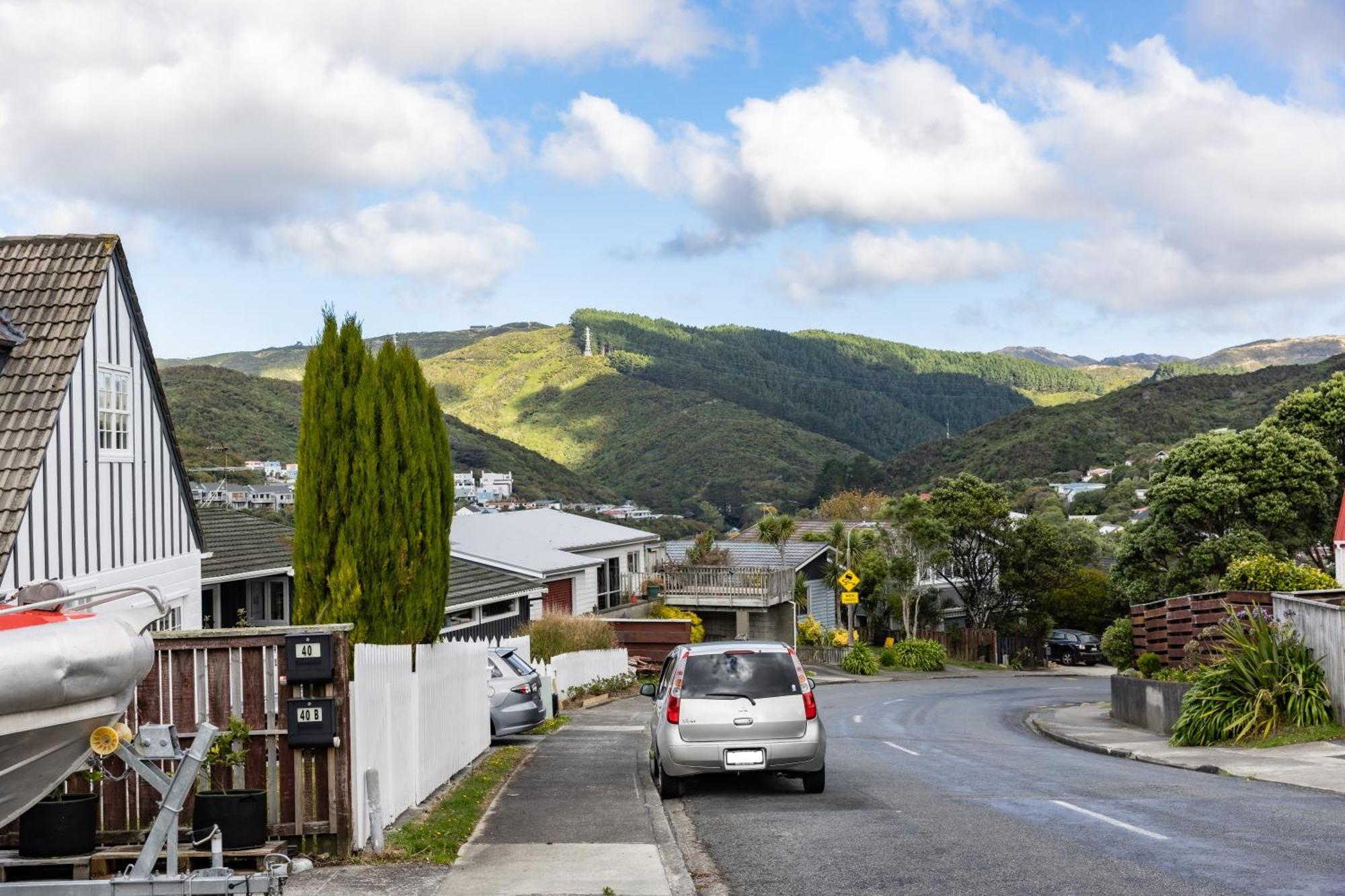 Back Garden Flat With Free On Street Parking And Fiber Wifi - 15 Mins To Ferry, Stadium, Cbd Wellington