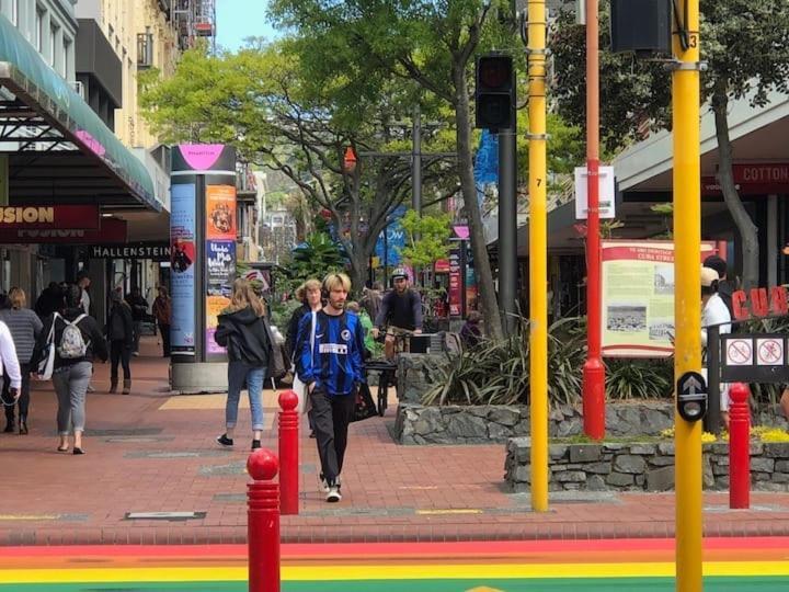 Compact Cutie - Cuba Mall,