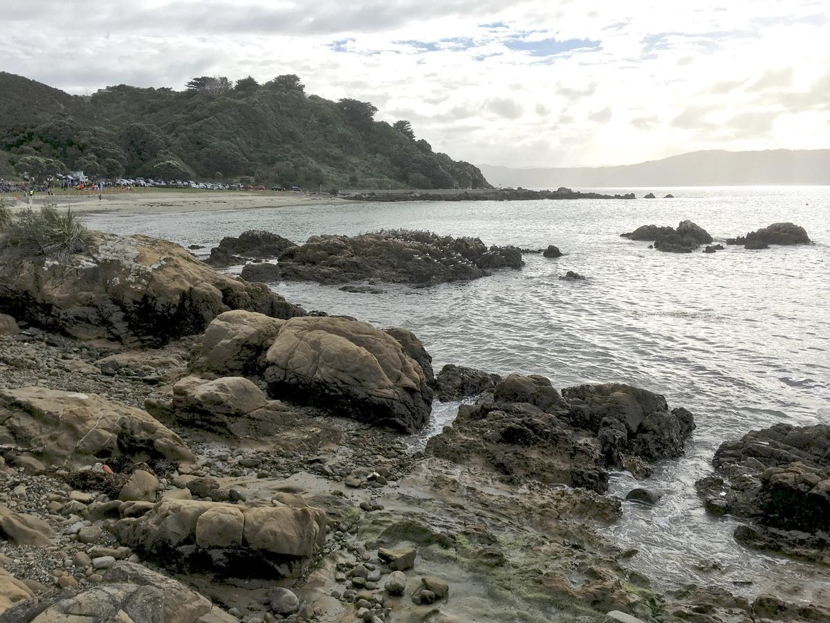 Karaka Bays Wellington
