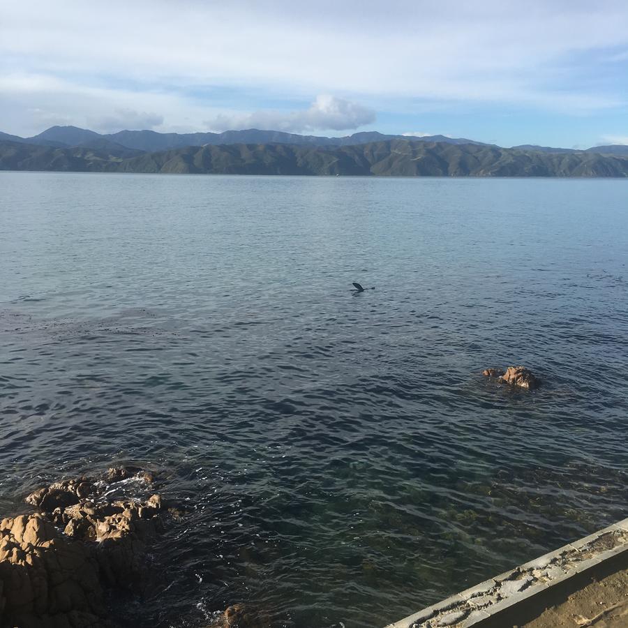 Bed & Breakfast Karaka Bays