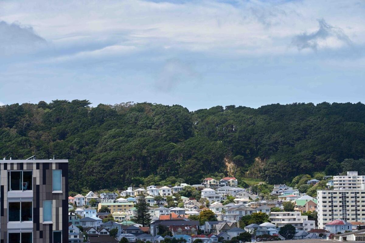 Great City-view Modern Wellington